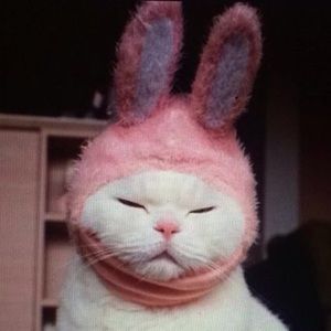 Meet your Posher/store policies